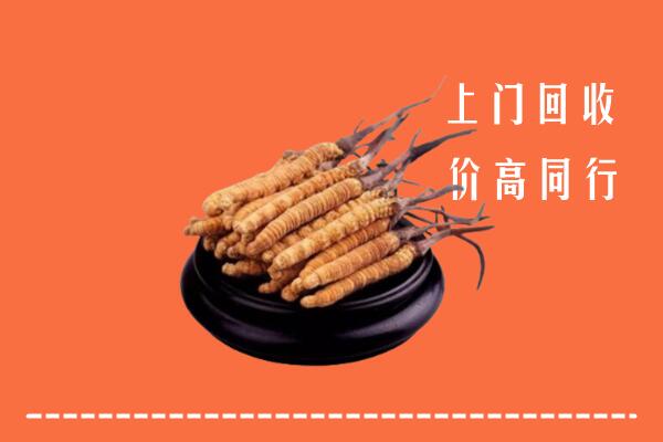 高价求购：伊犁州霍尔果斯市回收散虫草